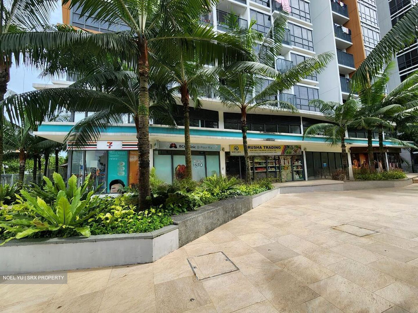 Coco Palms (D18), Shop House #460171091